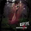 Aspire - Single