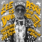 Subatomic Sound System - Lee "Scratch" Perry Is The Dub Organizer (New Ark Mix)
