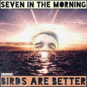 Birds are better - Seven In The Morning (feat. Stian Fjelldal)