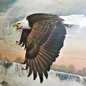 Where Eagles Fly artwork