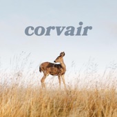 Corvair - Right Hook