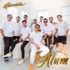 Alum - Single