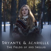 The Fields of Ard Skellig (feat. Acarielle) artwork