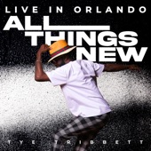 All Things New (Live In Orlando) artwork