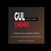 Gul Chehra - Single