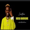 Ndega Handigone - Single