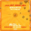 Roll (Rodando Mr Sonic Remix) - Single