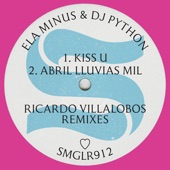 ♡ (Ricardo Villalobos Remixes) artwork