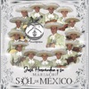 Mariachi Sol de México - Contigo Aprendí