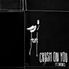Crush On You (feat. Swings) song lyrics