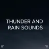 !!!" Thunder and Rain Sounds "!!! album lyrics, reviews, download