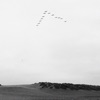 Finding Peace - Single