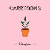 Carrtoons - Groceries