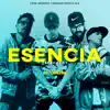 Stream & download Esencia (Mambo Remix) [feat. Barroso] - Single