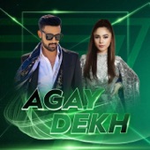 Agay Dekh (Pakistan Super League) artwork