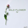 Wild Flower 4 - Single