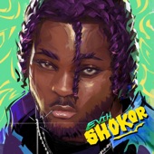 Shokor artwork