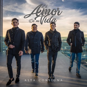 El Amor De Mi Vida - Single