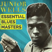 Junior Wells - I'm a Stranger