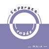 Separate Roads - Single