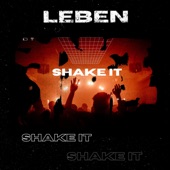 Shake It artwork