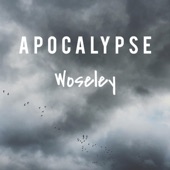 Apocalypse artwork