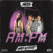 AM:PM (NOTD VIP Mix) artwork