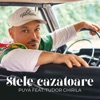 Stele Cazatoare (feat. Tudor Chirila)