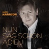 Nun sag schon Adieu - Single