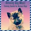 Relaxing Dog Music: Calming Sounds for Anxious Dogs album lyrics, reviews, download