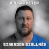 Szabadon szállnék - Single