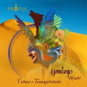 Calma e Tranquilidade (Yemanjo Remix) artwork