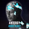 Night N Day - Single