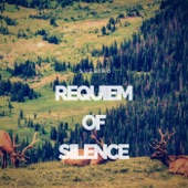 Requiem of Silence artwork