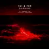 Burning (Leftwing : Kody Remix) [feat. Camden Cox] - Single album lyrics, reviews, download
