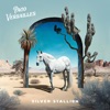 Silver Stallion - Single