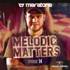 Melodic Matters 14 album lyrics, reviews, download
