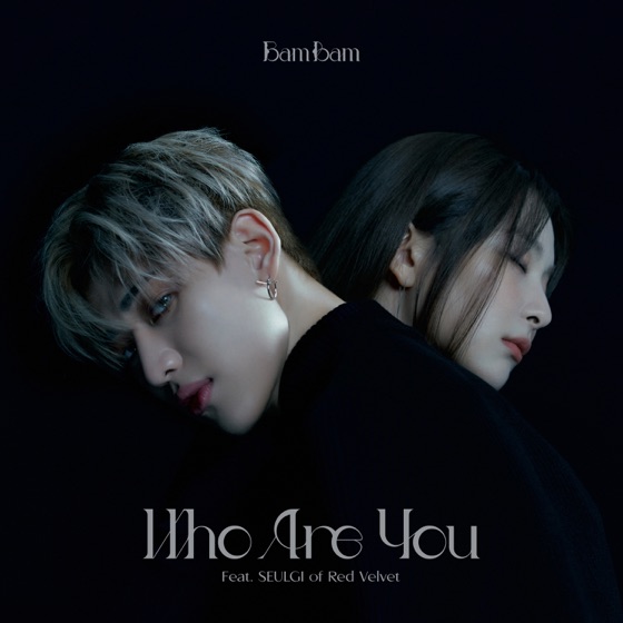 Cover artwork for Who Are You (feat. SEULGI)
