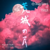 Kojo No Tsuki (feat. Tsuji) artwork