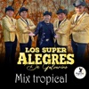 MIX TROPICAL - Single