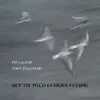 Set the Wild Echoes Flying album lyrics, reviews, download