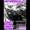 Notorious T3 - Bigg T3