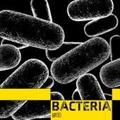 Bacteria (feat. Adam Lambert) artwork