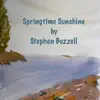 Springtime Sunshine - Single album lyrics, reviews, download
