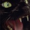 Gothic Black Cats (feat. 13thall) - Lootxz lyrics