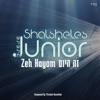 Zeh Hayom - Single