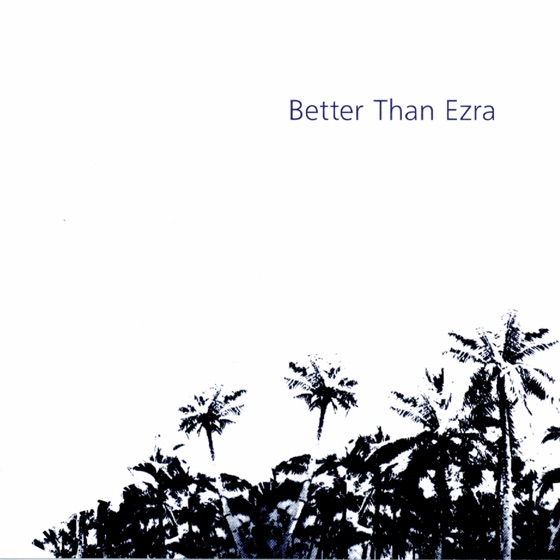 Cover artwork for Silly Fool