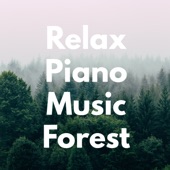 Relax Piano Music Forest artwork