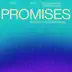 Promises song reviews