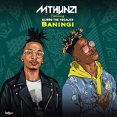 Baningi (feat. Mlindo The Vocalist) artwork